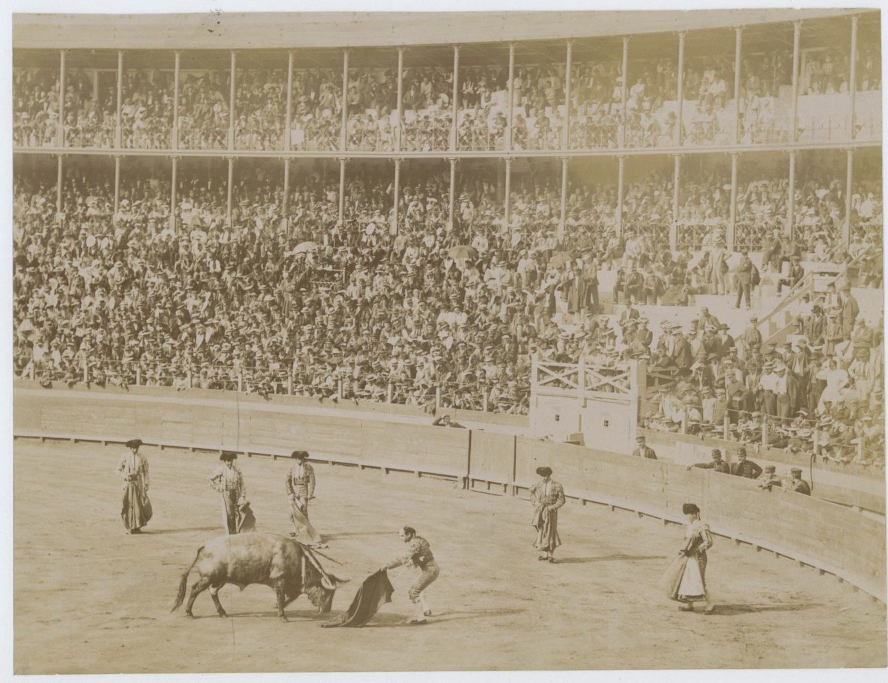 Photo albumine sur carton CORRIDA DE TOROS Muerto Tauromachie albumen
