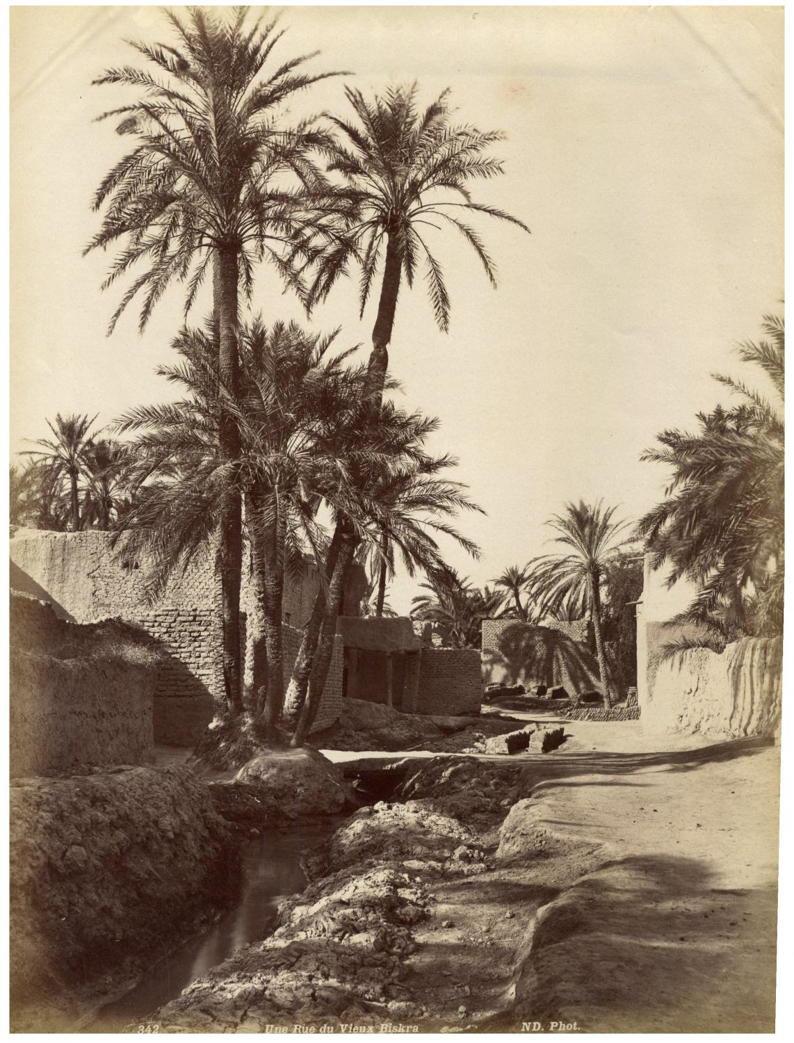 Nd. phot. Algeria, a street of old Biskra Algeria. vintage albumen ...